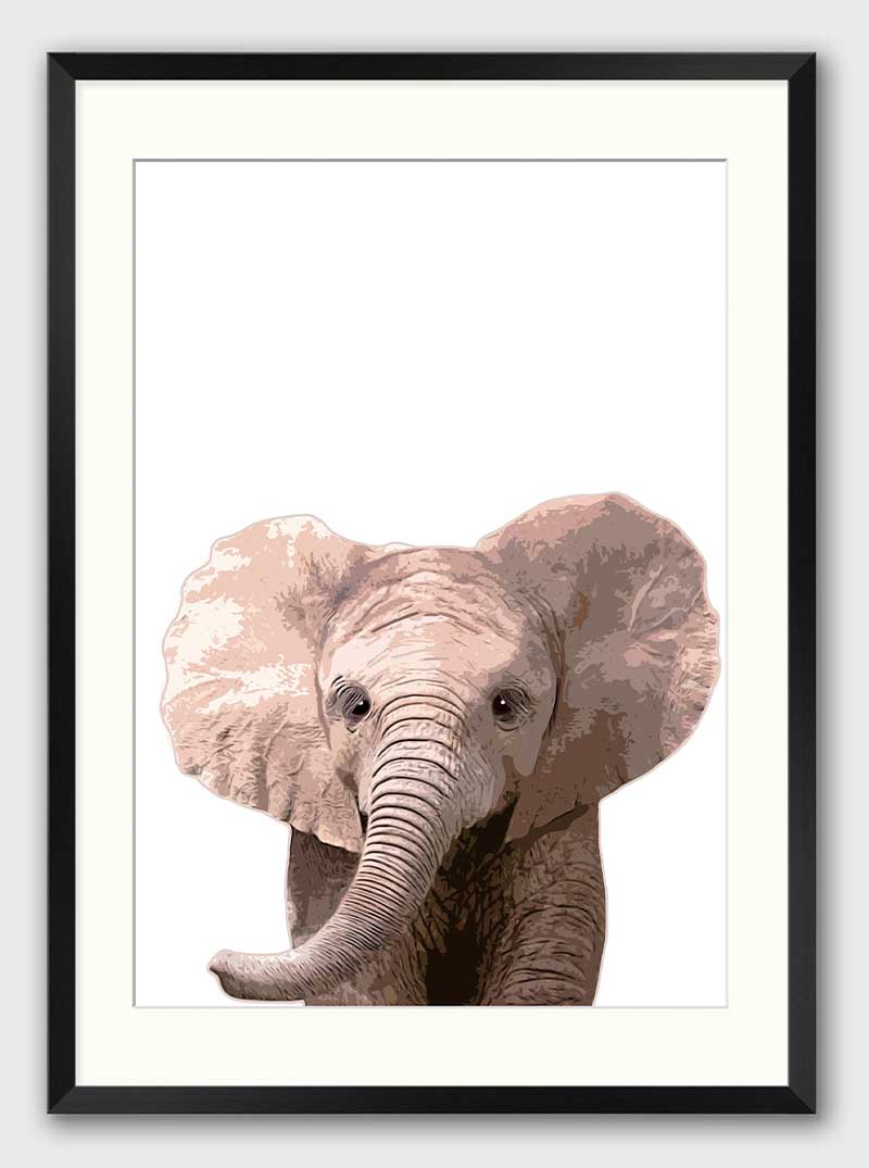 BABY ELEPHANT